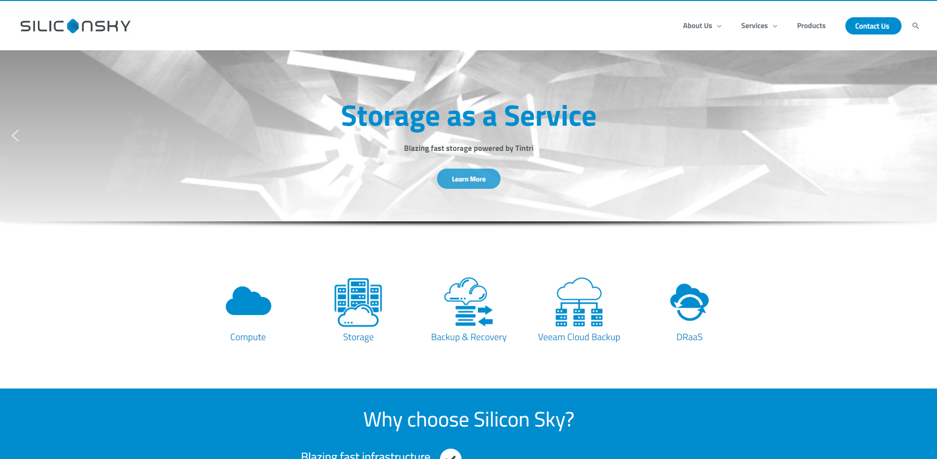 Silicon Sky