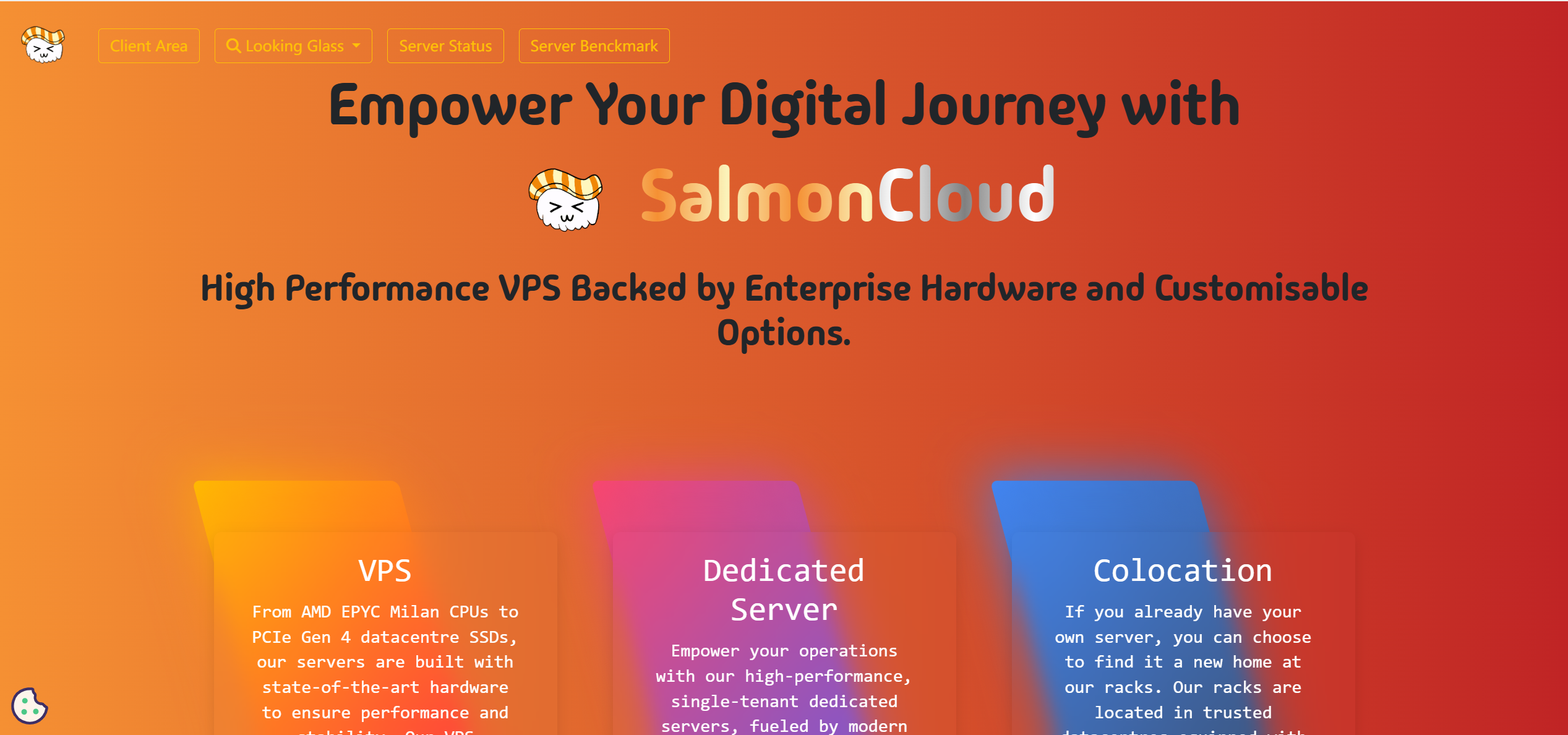 SalmonCloud San Jose [US] AMD EPYC-Milan High Performance VPS Test and Review