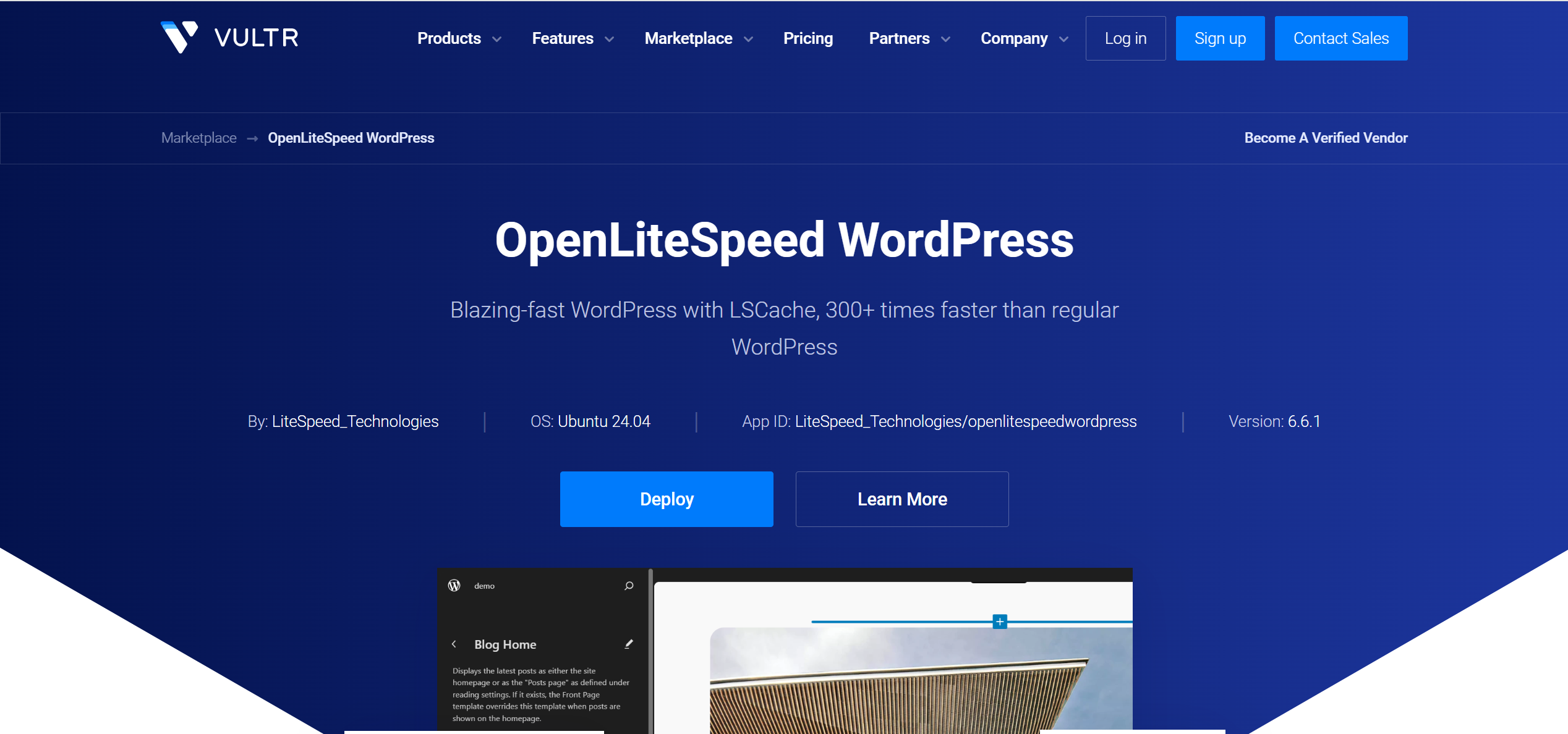 How to Use Vultr App Marketplace to Deploy OpenLiteSpeed WordPress